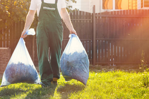 Best Shed Removal  in Kalamazoo, MI